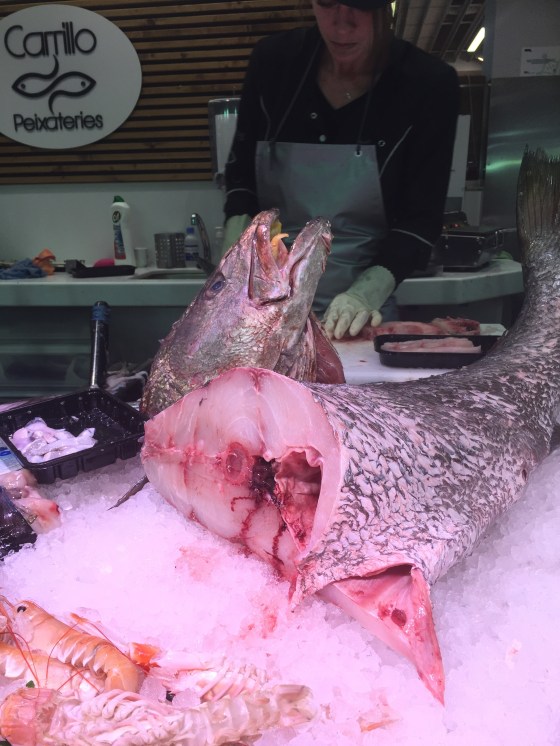 la corvina de 20 kg, menos los 300 gr. que me llevé p'a casa.